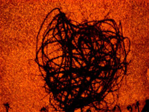 Balvack Visual Dimension - heart